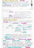 document-image