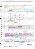 document-image