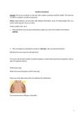NUR254 Newborn Assessment Case Study-1 Summer 2026 Galen College