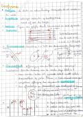 document-image