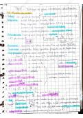 document-image
