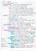 document-image