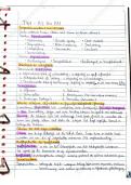 document-image