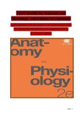Anatomy and Physiology 2nd Edition by OpenStax &vert; Complete Test Bank with Verified Questions & Answers &vert; Exam Preparation Study Guide