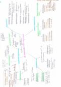 Lingu&iuml;stiek&colon; mindmaps &vert; Logopedie en Audiologie &vert; Thomas More &vert; 2024&sol;25