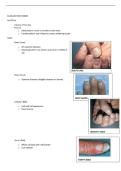 NUR 611 HEALTH ASSESSMENT MIDTERM LECTURE NOTES &vert; 2026 UPDATE &vert; WITH COMPLETE SOLUTIONS&period;