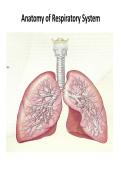 Human Anatomy & Physiology I  Anatomy of Respiratory System anatomy and physiology of the respiratory system&comma;&NewLine;including gas exchange and regulation&period;&NewLine; Respiratory Structures&colon; Nose&comma; pharynx&comma; larynx&comma; trachea&comma; bronchi&comma; lungs&comma;&NewLine;and alveoli&period;&NewLine; Gas Exchange&colon;