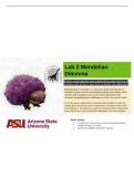 BIO 182 Lab 2 Mendelian Dilemma &vert; Questions and Answers &vert; 2026 Update &vert; 100&percnt; Correct - ASU&period;