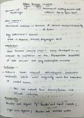 Restorative Materials &ndash; GIC & Composite Resins Notes &vert; BDS 2nd Year