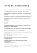 ASU BIO 202 Lab &lpar;endocrine-blood&rpar;&period; Questions with Solutions 