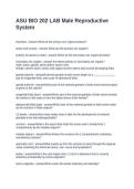 ASU BIO 202 LAB Male Reproductive System&period; Questions and Answers 100&percnt; Correct