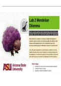 BIO 182 Lab 2 Mendelian Dilemma &vert; Questions and Answers &vert; 2026 Update &vert; 100&percnt; Correct - ASU&period;&NewLine;
