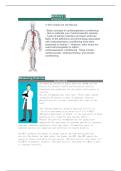Diploma in Physical Fitness Module 2 