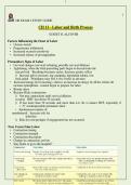Labor & Birth Process Ch&period;13 OB Exam 2 Guide 2026