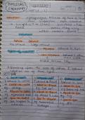 Solutions and Concentration Terms &lpar;Molarity&comma; Molality&comma; Normality&comma; Mole Fraction&comma; Mass Fraction & ppm&rpar; &ndash; Chemistry &ndash; Complete Class Notes with Solved Numerical Problems&period; 