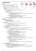 Volledige samenvatting cardiochirurgie - Problemen van hart en bloedvaten &lpar;Prof&period; Dr&period; Bov&eacute;&rpar;