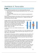 Biochemie en moleculaire biologie &vert; Hoofdstuk 4 Transcriptie &vert; KU Leuven &vert; 2025&sol;26 &vert; prof&period; Claessens &vert; 1e BMW