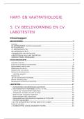 Bloedsomloop - 5&period; Cardiovasculaire Beeldvorming en Labo