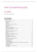 Bloedsomloop - 8&period; Vaat