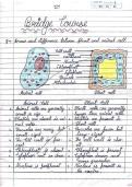 summary of class 9 cell chapter biology