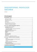 Spijsvertering - Radiologie - Konijn