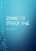 GR 12 LS Summaries&lpar;Nucleic acids&comma; Evolution&comma; Plant Hormones&comma; Humans responding to environment &rpar;  Exam Tips&lpar;P1&rpar; 