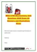 WGU C785 Biochemistry Unit Study Guide 2026 &vert; 400&plus; Practice Questions on Protein Structure&comma; Enzymes&comma; DNA Replication&comma; Genetics&comma; Cellular Respiration & Metabolism &vert; Western Governors University &lpar;WGU&rpar;