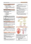 Cardiovascular &lpar;ischemic vs hemorrhagic stroke&rpar;
