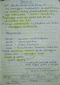 History notes for class 12 ncert