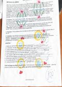 Mitosis Explained&colon; The Cell Cycle and Cell Division Study Guide