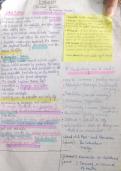 CBSE Class 12 English Complete Revision Guide