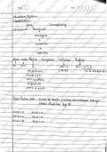 Number System Basics by Maths Nest