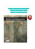 Test Bank for An Introduction to Brain and Behavior 7th Edition by Bryan Kolb&comma; Ian Q&period; Whishaw&comma; Chapters 1 - 16&comma; Complete Newest Version