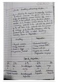NEET aspirants&comma; class 11 NCERT breathing and exchange of gases best toppers notes all in one 