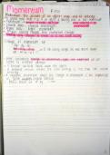 Simplified Grade 12 NSC Physics&colon; Momentum & Impulse Without the Jargon