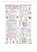 S&period;P notes