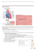 SUMMARY BIOL 5333 PATHO EXAM 2 STUDY GUIDE WITH ANSWERS &vert; 2026 UPDATE &vert; WITH COMPLETE SOLUTIONS - TWU&period;