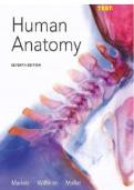 Human Anatomy &ndash; Complete Guide to Body Systems
