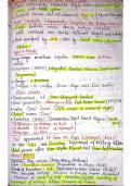 Exam &lpar; CDS & AFCAT&rpar;