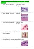 Epithelial tissue Complete Study Review with Complete&NewLine;Solutions