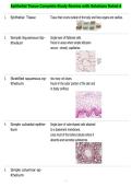Epithelial Tissue Complete Study Review with Solutions Rated A