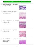 Epithelial Tissue Complete Study Review Rated A
