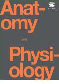 Test Bank for Anatomy and Physiology OpenStax 2nd Edition &vert; Comprehensive Exam Questions & Answers&NewLine;