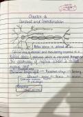 Class notes Biology  