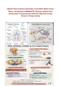 BIOL251 Human Anatomy & Physiology I w&sol;Lab &lpar;2026&rpar; &vert; Module 5 Exam&NewLine;Review &vert; 100 Questions & Answer ☑ s Summary &vert; Ultimate Exam&NewLine;Mastery Guide &vert; Premium Revision Collection &vert; High-Yield Learning&NewLine;Resource &vert; Portage Learning