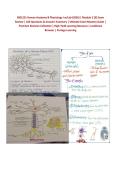 BIOL251 Human Anatomy & Physiology I w&sol;Lab &lpar;2026&rpar; &vert; Module 2 &lbrack;X&rsqb; Exam&NewLine;Review &vert; 100 Questions & Answers Summary &vert; Ultimate Exam Mastery Guide &vert;&NewLine;Premium Revision Collection &vert; High-Yield Learning Resource &vert; LockDown&NewLine;Browser &vert; Portage Learning