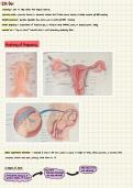 EMT Exam Study Notes