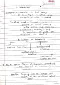 Class notes Economic  