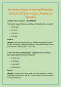 Essentials of Human Anatomy and Physiology &NewLine;Test Bank &vert; Verified Questions&comma; Answers and &NewLine;Rationales 