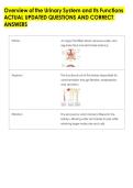 Overview of the Urinary System and Its Functions &NewLine;ACTUAL UPDATED QUESTIONS AND CORRECT &NewLine;ANSWERS 